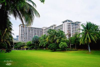 三亞灣性價比最高的酒店,人均200多住五星,真的太劃算了