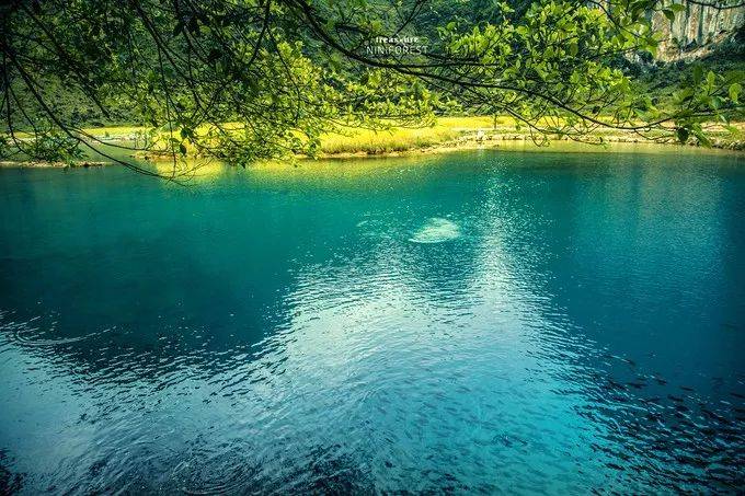 德保紅葉森林公園夢幻紅楓湖!999元純玩醉美紅葉谷、&ldquo;中國最美瀑布&rdquo;德天跨國大瀑布、&ldquo;西南三大名泉&rdquo;靖西鵝泉豪嘆高端五星酒店!